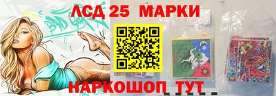 спиды Обь