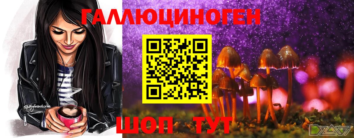 Галлюциногенные грибы мицелий Серов
