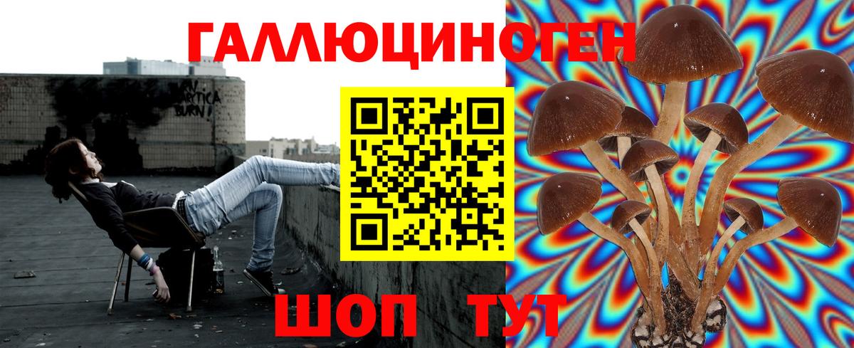 Галлюциногенные грибы ЛСД  Вход с VPN  Псилоцибиновые грибы MAGIC MUSHROOMS  Серов 